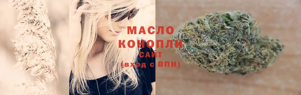 крисы Осинники