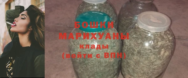 крисы Осинники