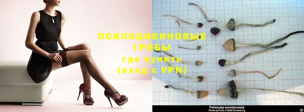 крисы Осинники