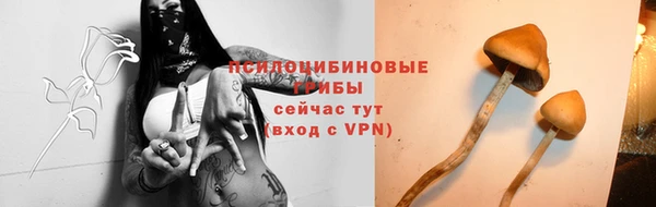 крисы Осинники