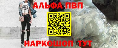 герыч Кингисепп