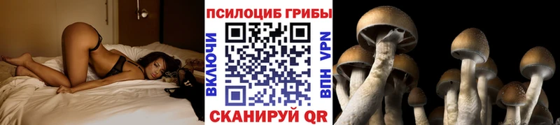 Галлюциногенные грибы Magic Shrooms  мега сайт  Оренбург  купить  
