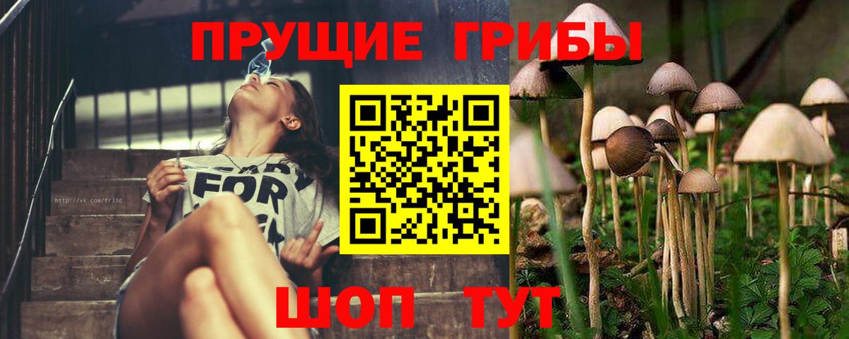 Галлюциногенные грибы MAGIC MUSHROOMS  Галлюциногенные грибы Cubensis  Вход с VPN  Оренбург 