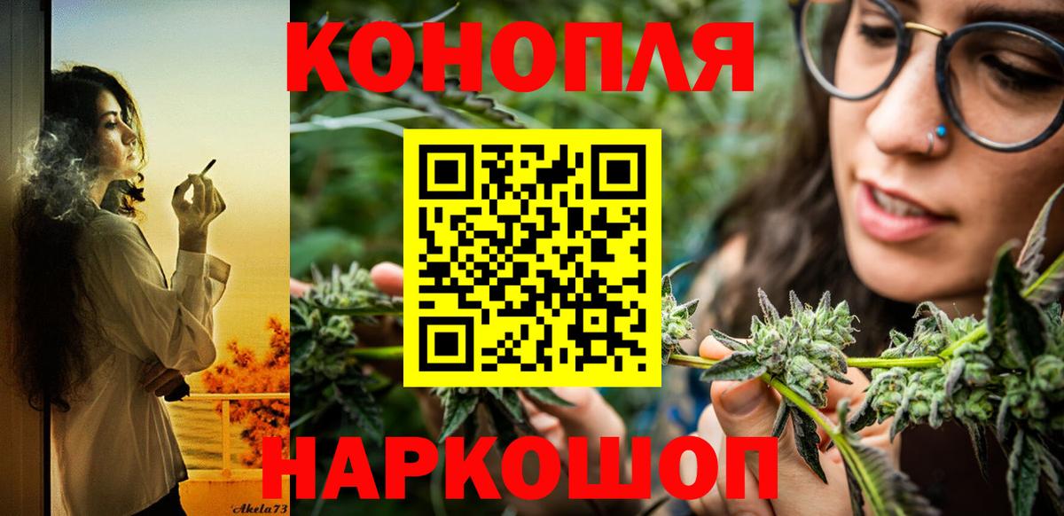 Бошки Шишки семена Оренбург